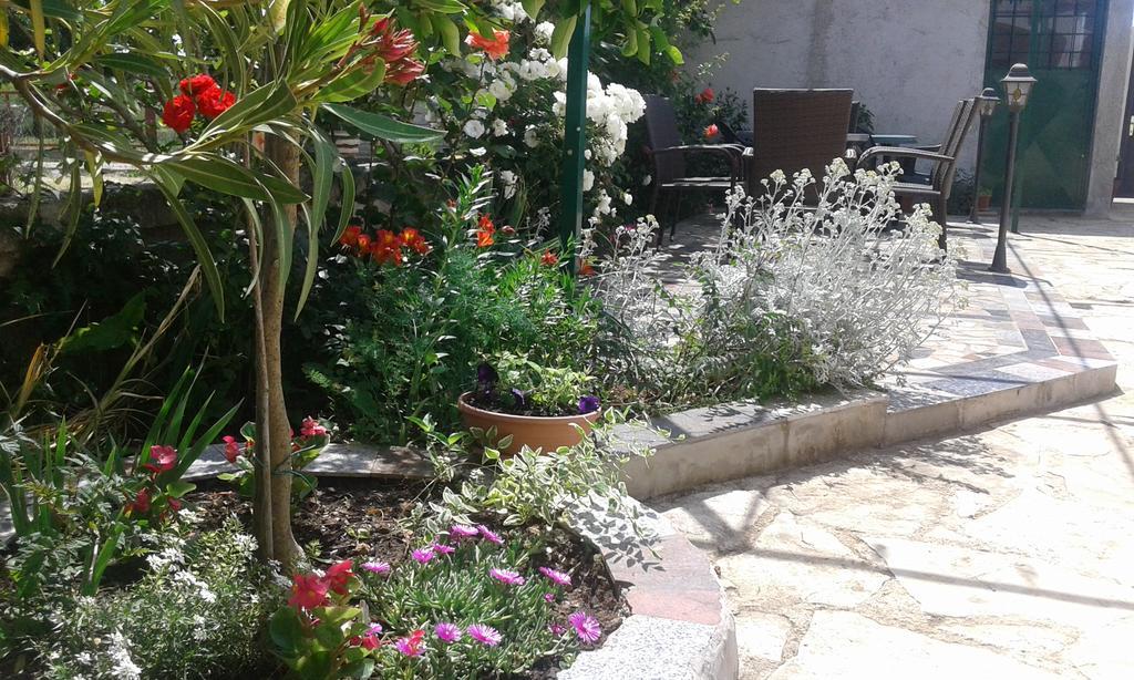 Apartments"Nika" With Private Pool Galovac (Zadar) Exterior foto