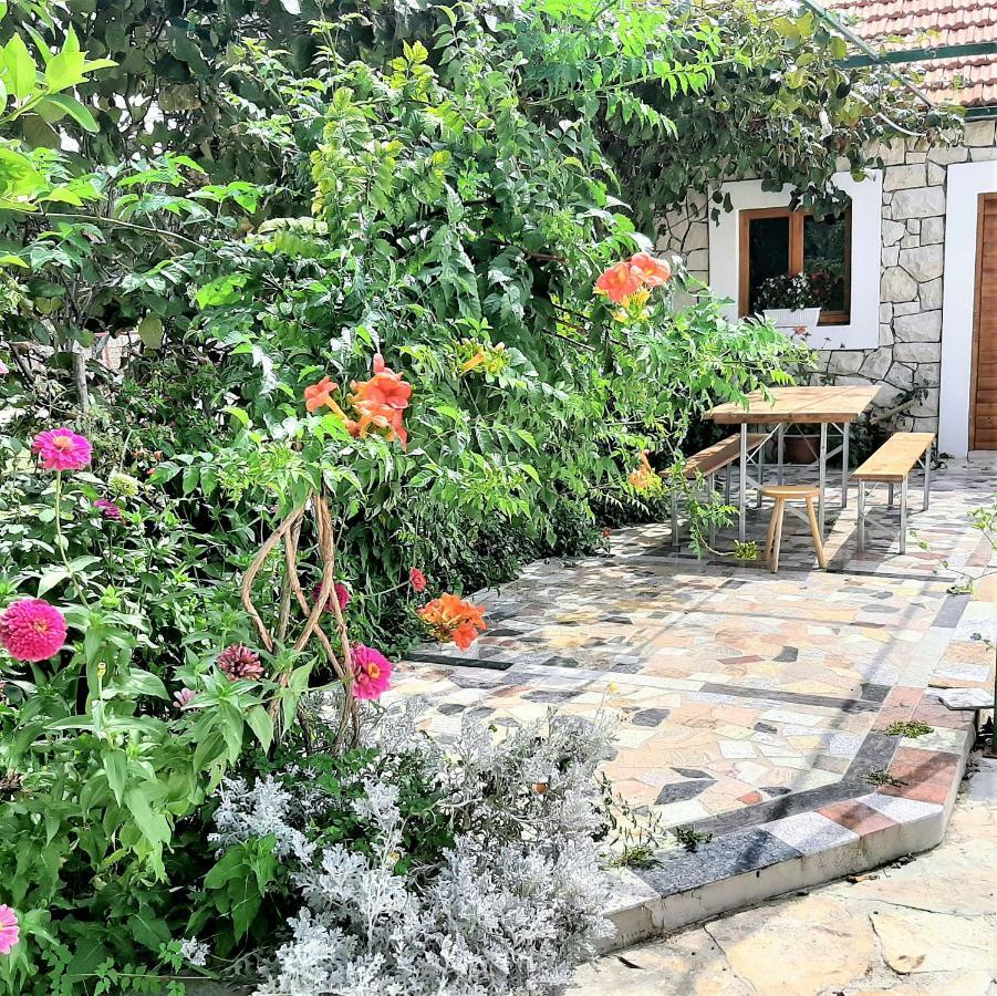 Apartments"Nika" With Private Pool Galovac (Zadar) Exterior foto